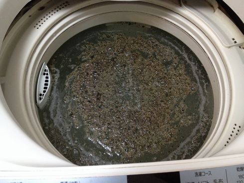 洗濯槽　酸素系漂白剤